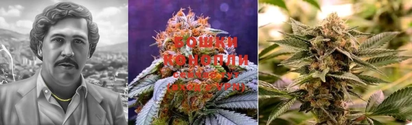стаф Белоозёрский