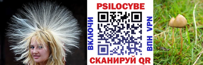 Галлюциногенные грибы прущие грибы  darknet как зайти  Кущёвская 